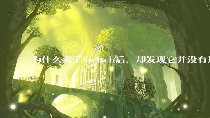 为什么买了Switch后，却发现它并没有那么好玩？