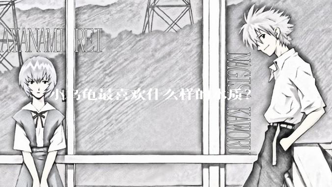 小乌龟最喜欢什么样的水质？