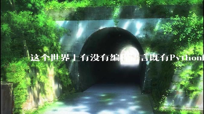 这个世界上有没有编程语言既有Python的开发效率，又有C/C++/Rust的性能？