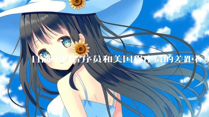 目前中国程序员和美国程序员的差距在哪里？