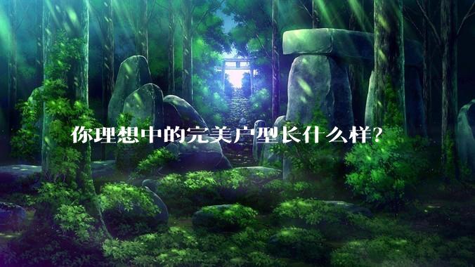 你理想中的完美户型长什么样？
